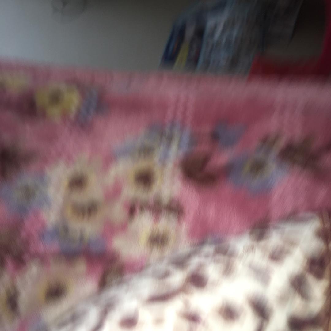 莫大哥