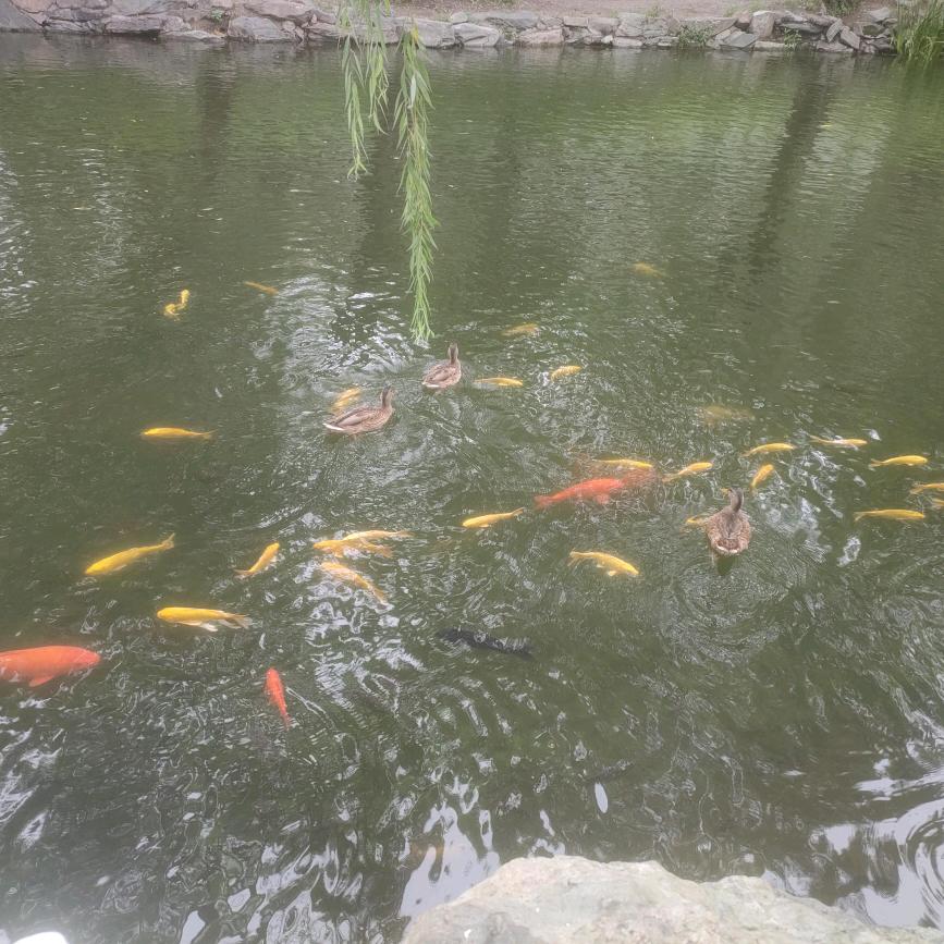 奔跑的蜗牛