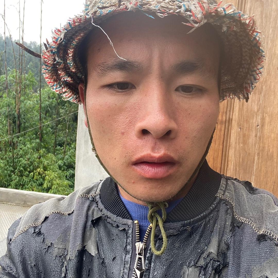 炮歌（大实话）