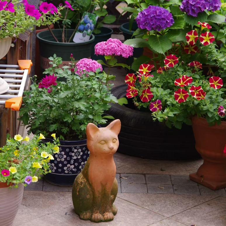 雷克萨生活视频