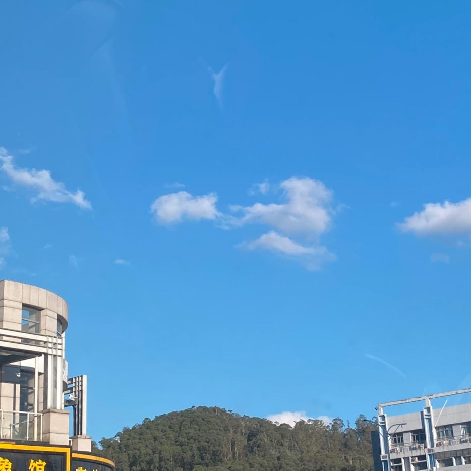 钱多多笑哈哈🎀