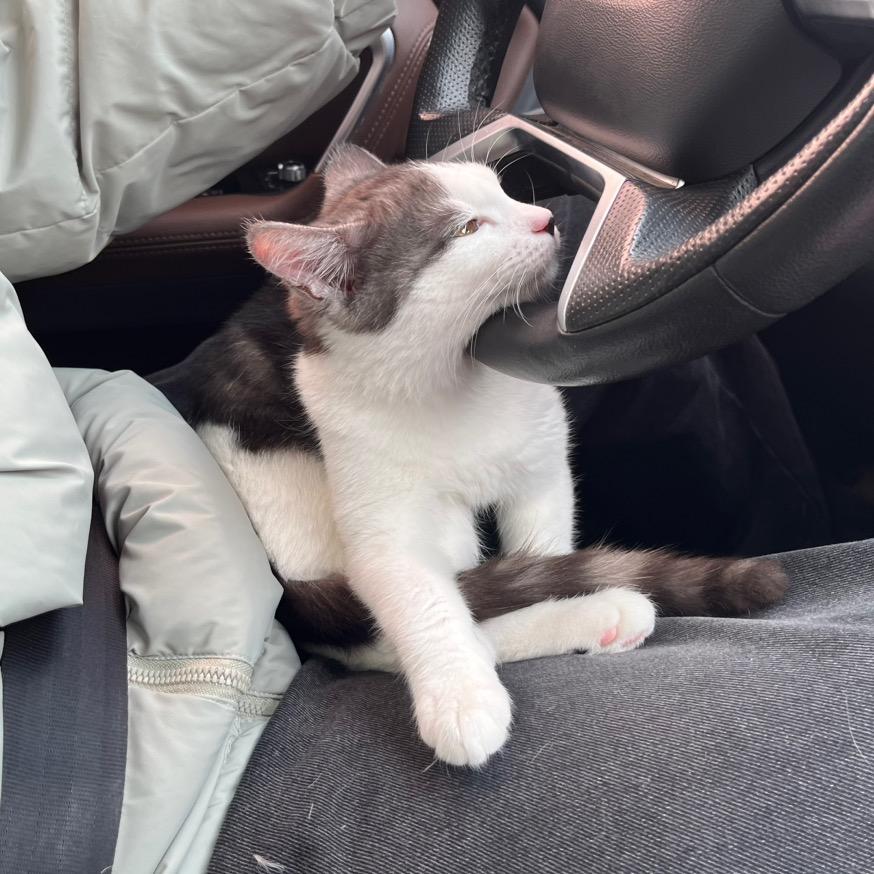 我家有个旺仔仔