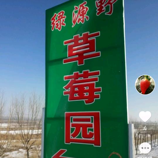 绿源野草莓采摘园