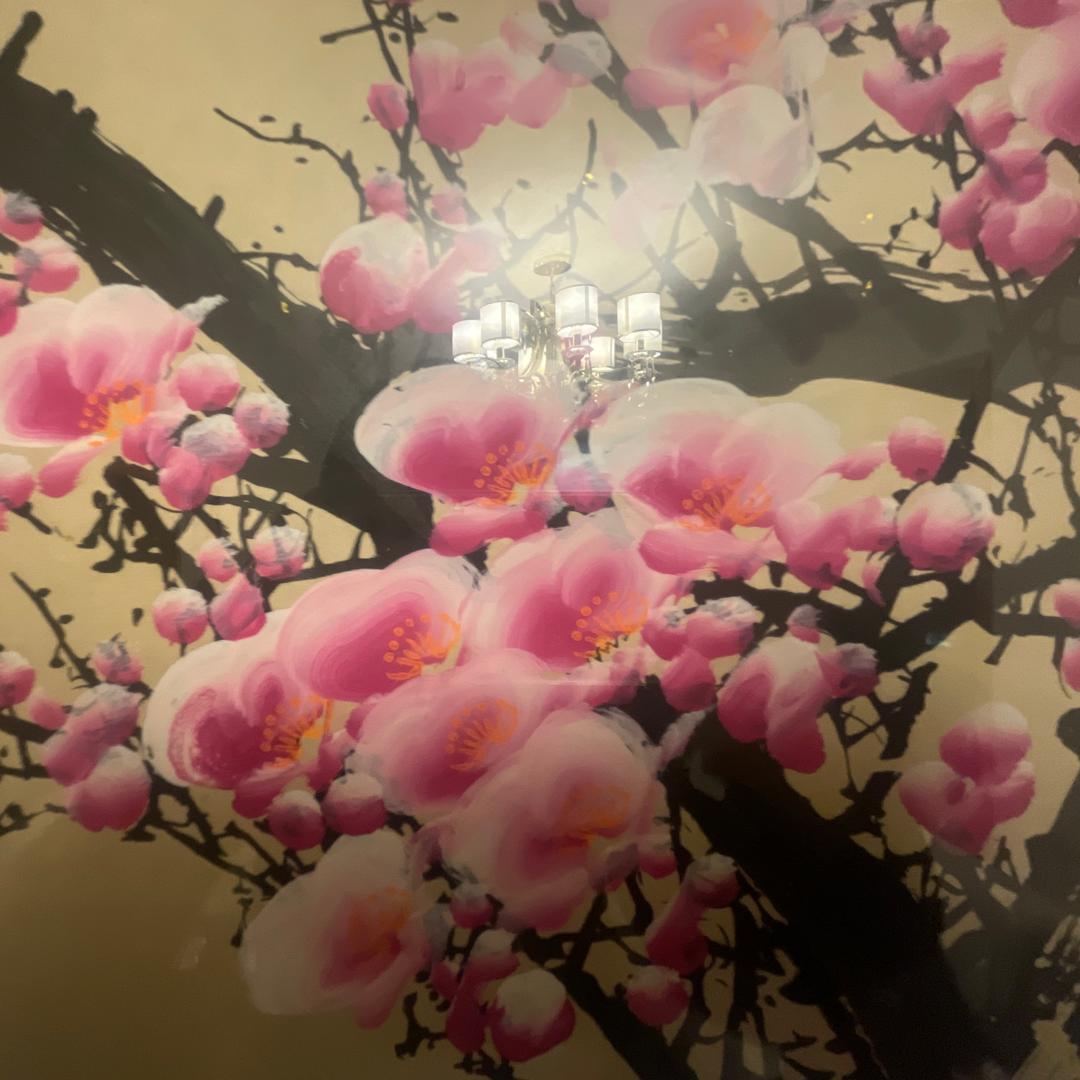 每天开心的老杨