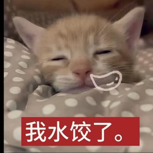 陈77