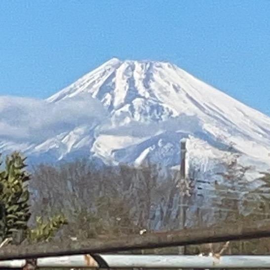 华兆小店老鸦柿