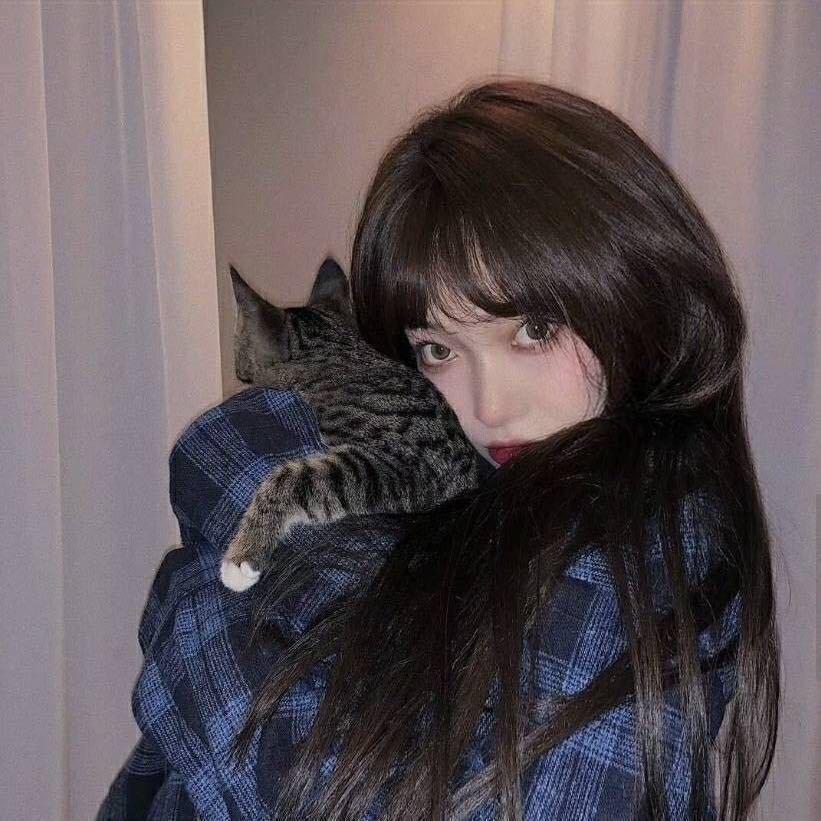 野猫君i