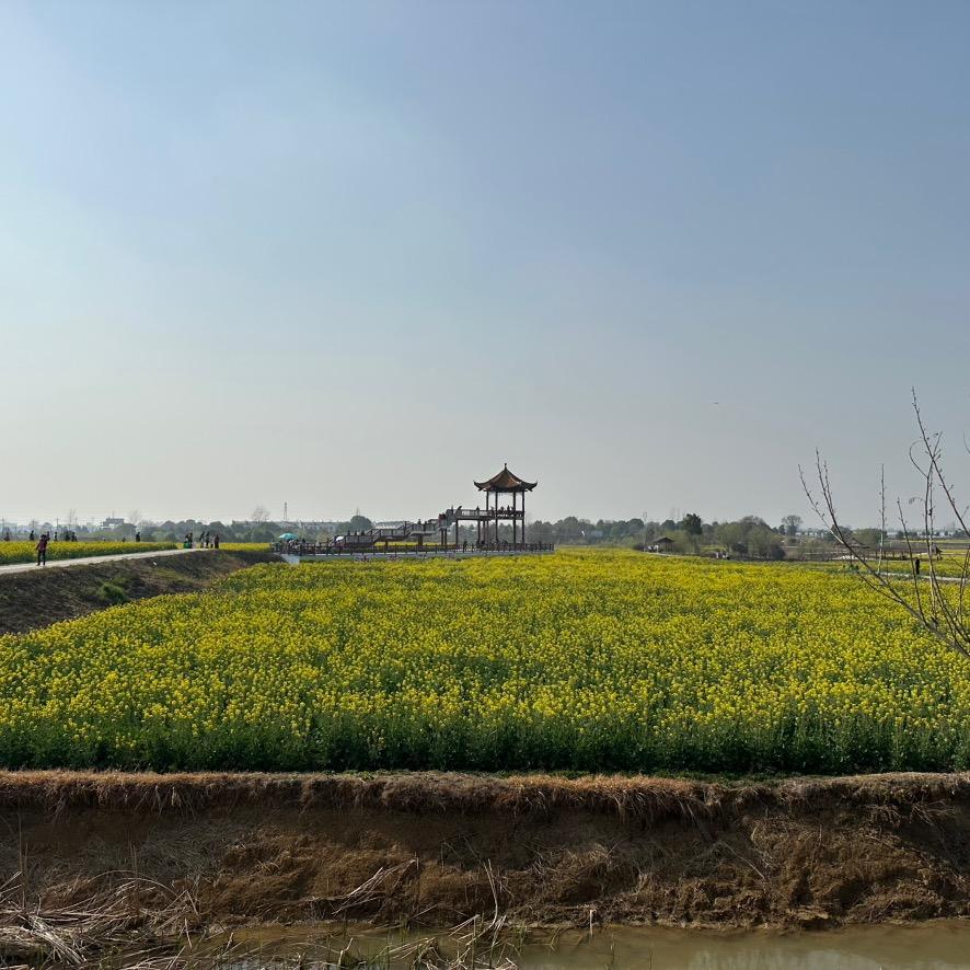 但见长江送流水