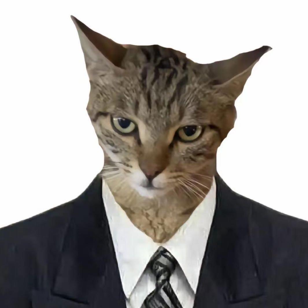 猫meme剧院