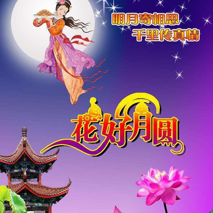 花好月圆（薛）