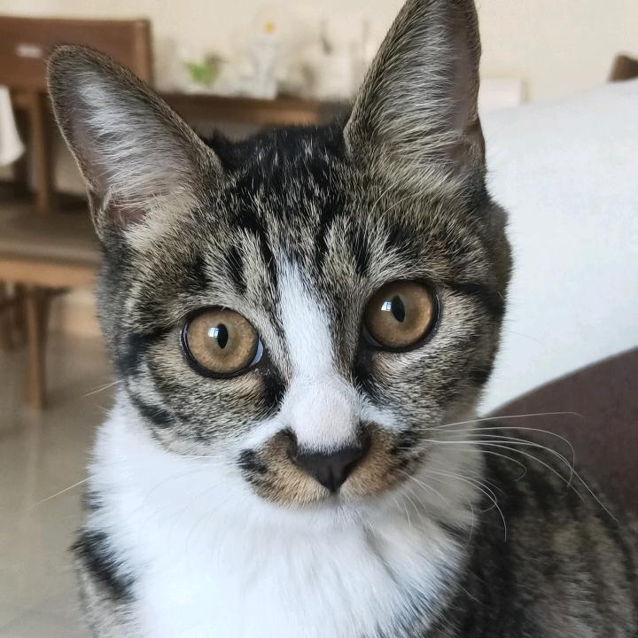 给生活加点🍬