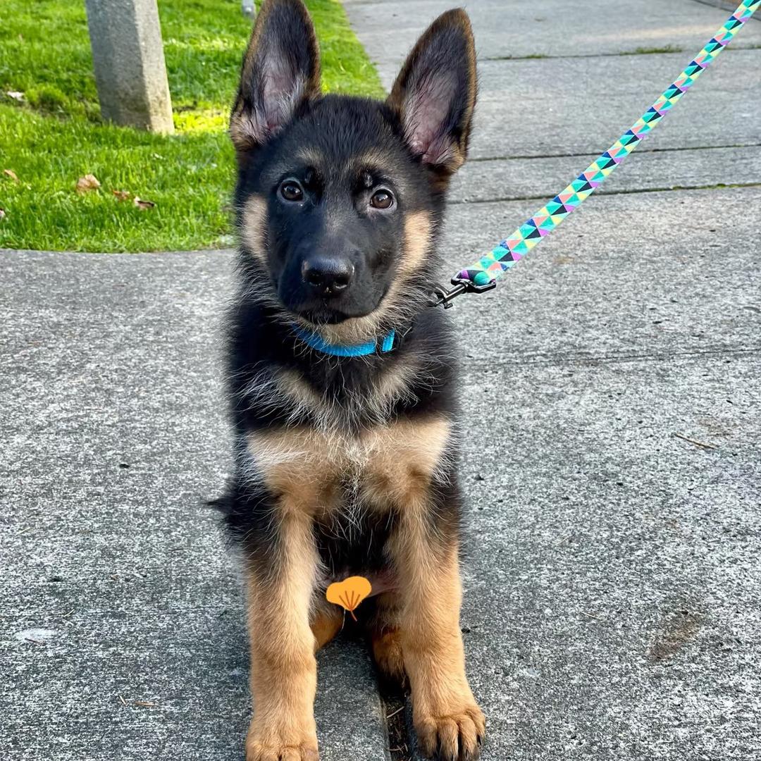 大台北热卤lliudfjkkivjoipa直播号