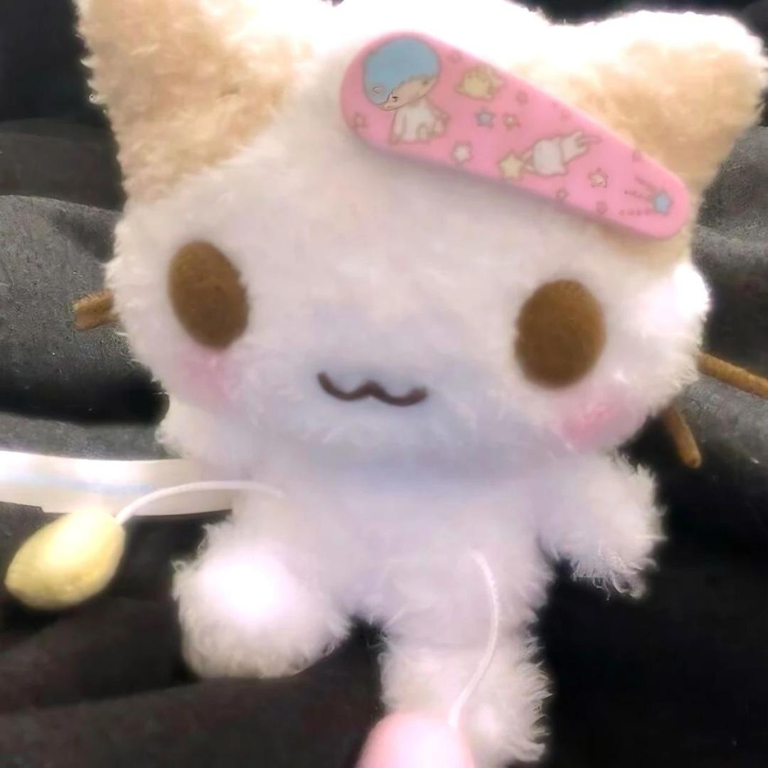 哈喽小猫🐈