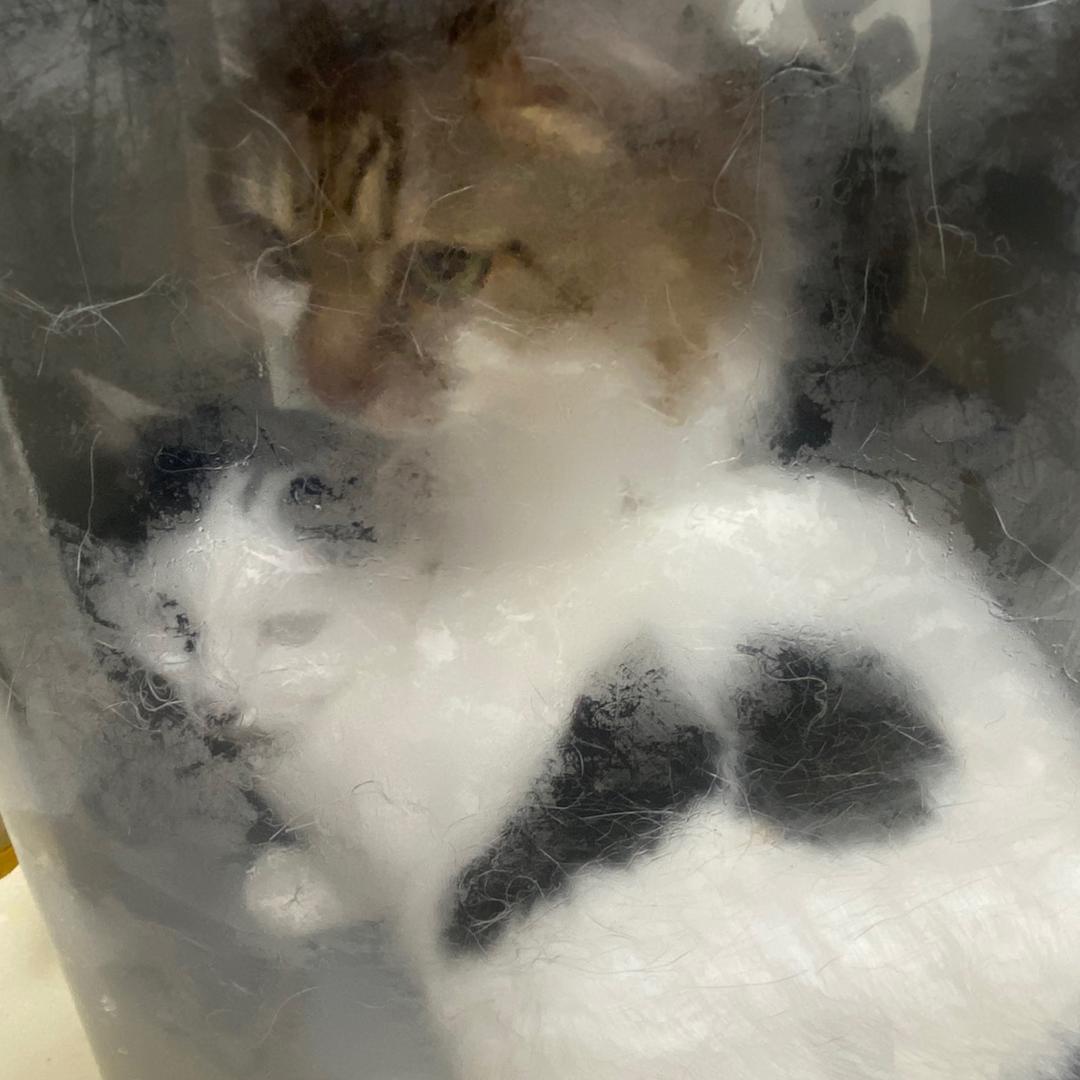 玩偶🐱