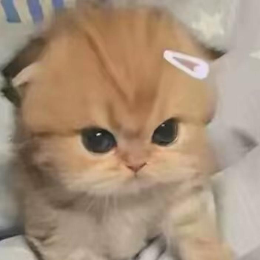 再苦也要微笑