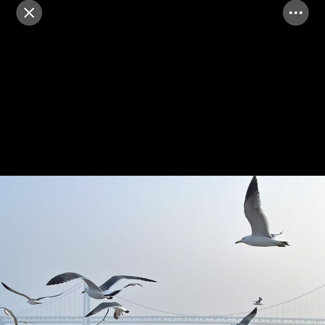 由飞丽@世纪联华