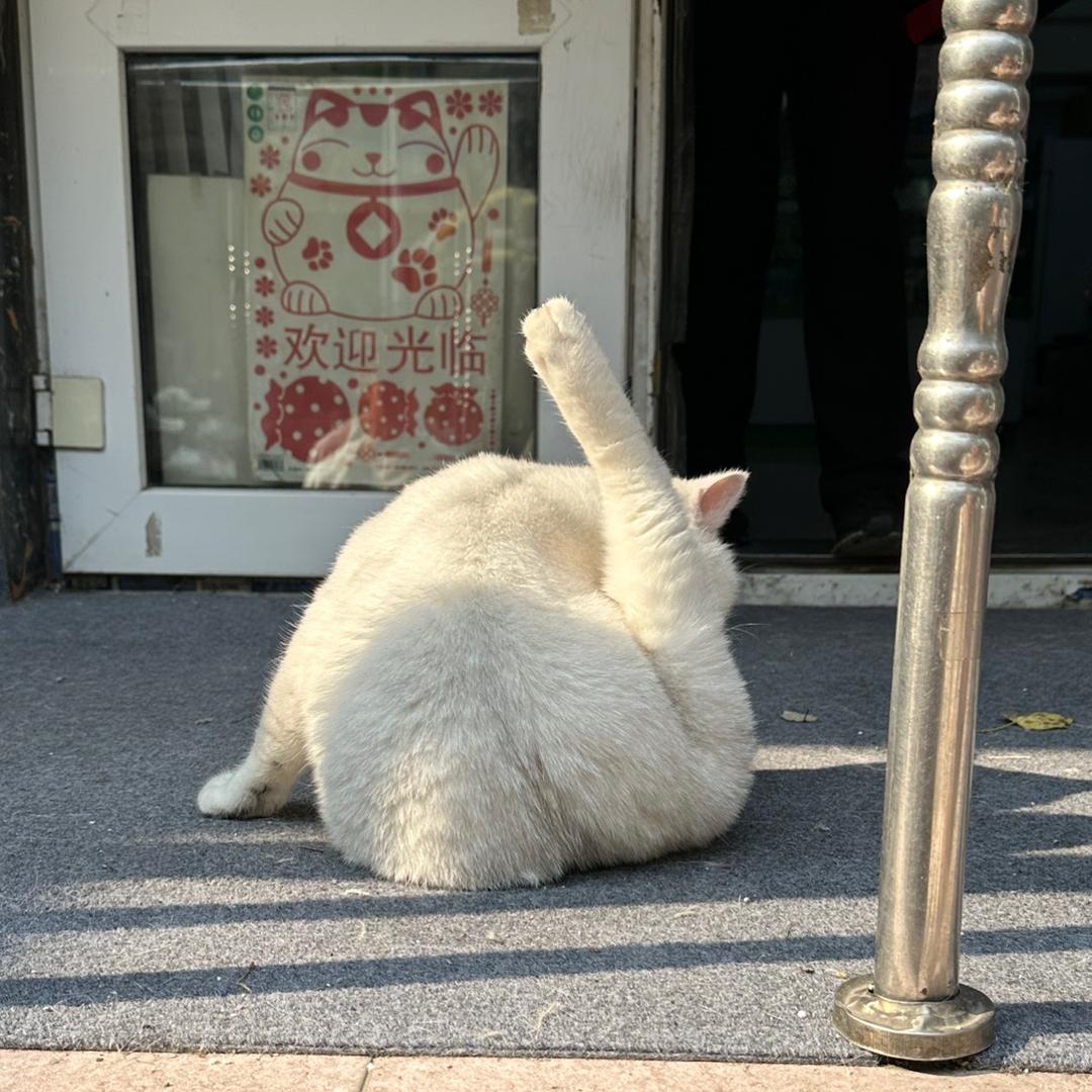 嘻