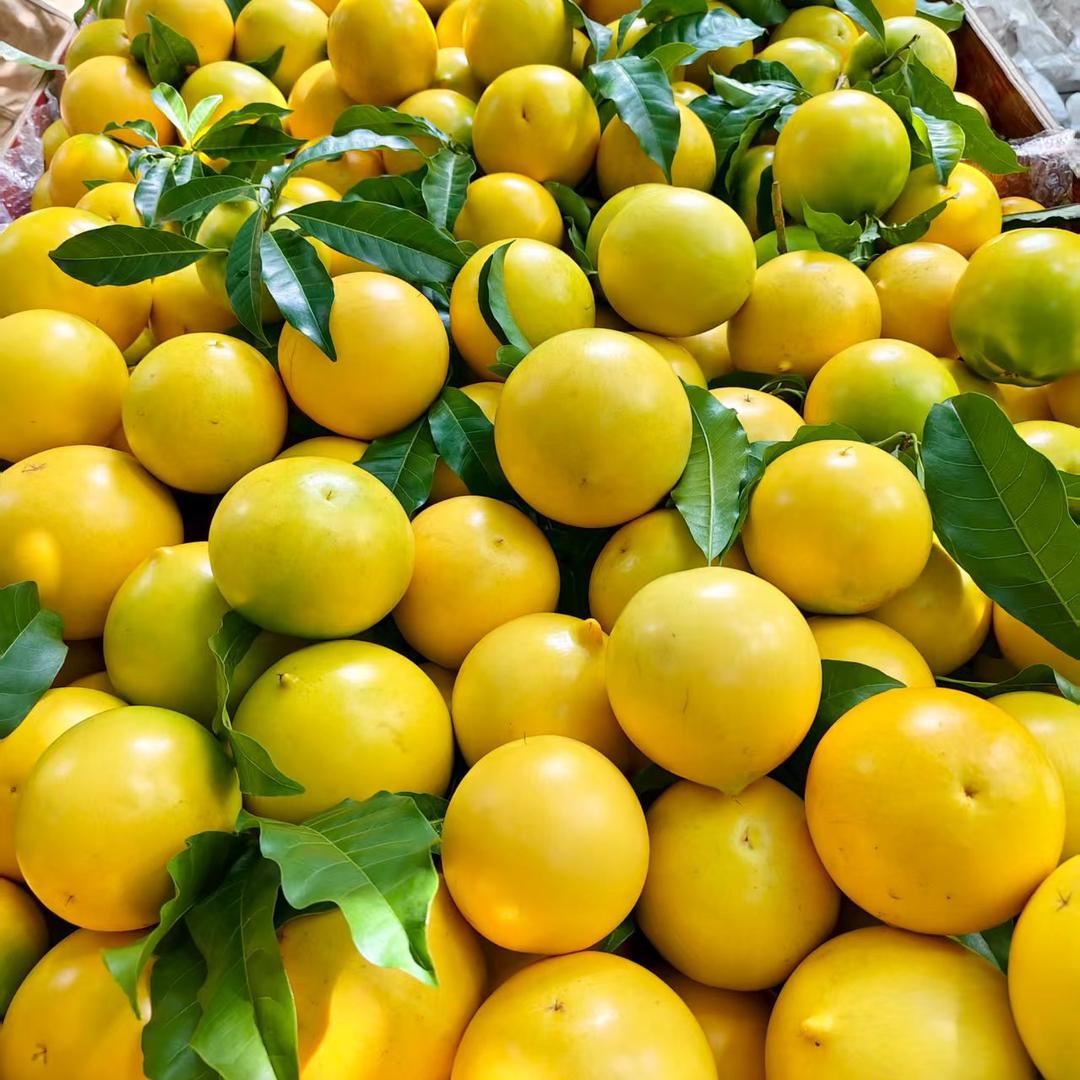 果源鲜小店好货