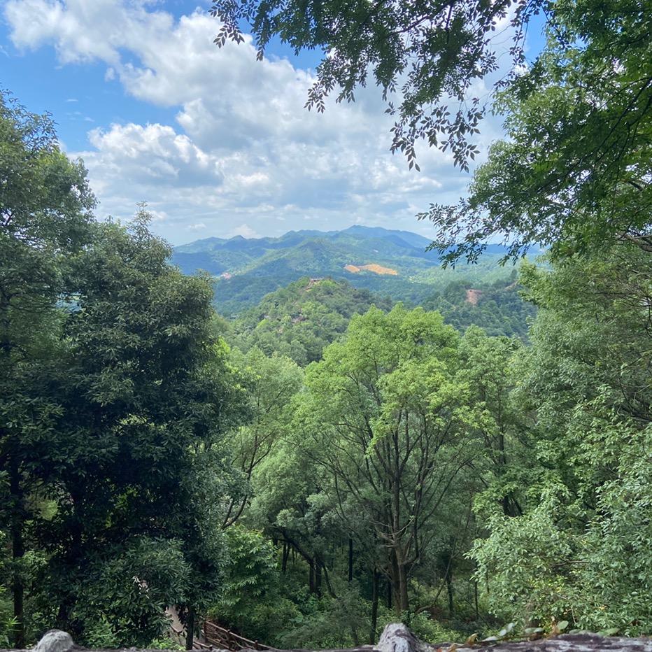 太阳照不到的夜