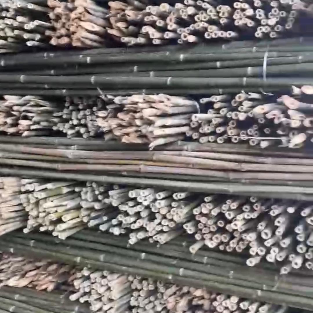 大麦竹制品