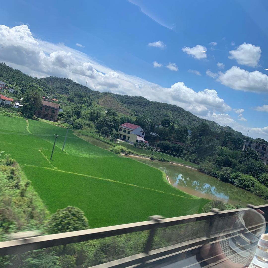 小小爱追剧🌿