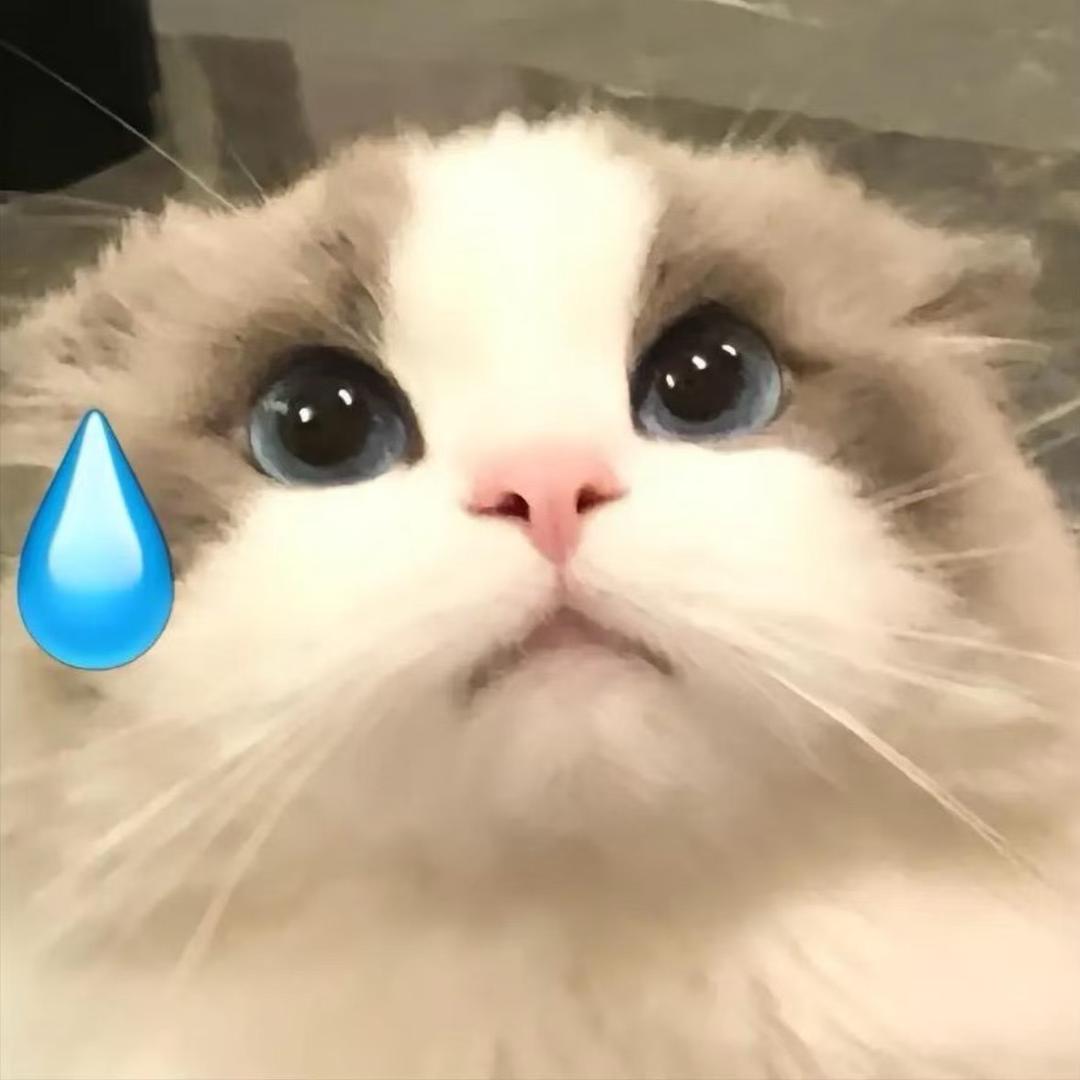 家华（守望先锋）