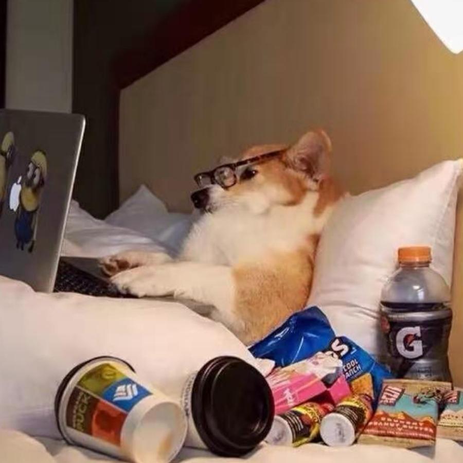 怎能忍住不难过呢