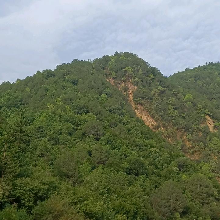 金鹰建筑租凭有限公司