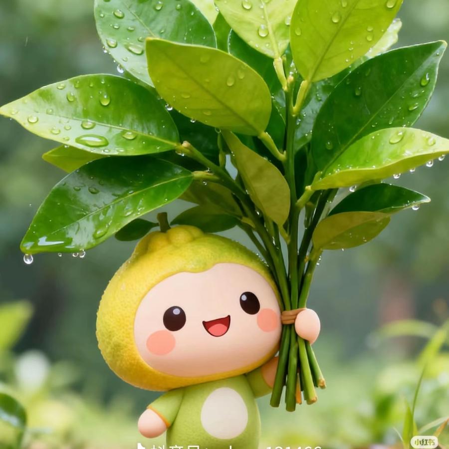 榆非晚