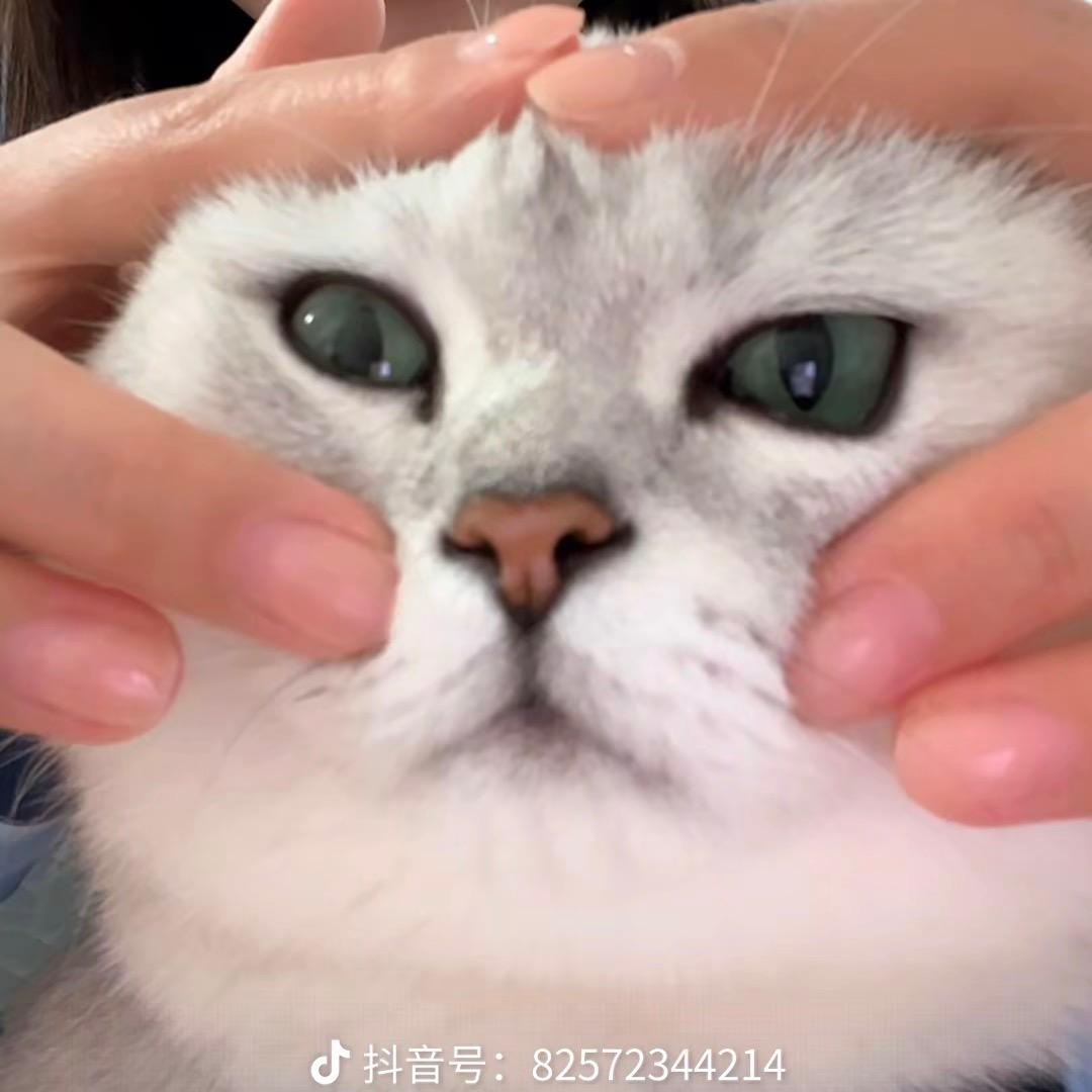 小晴（西安陪陪）