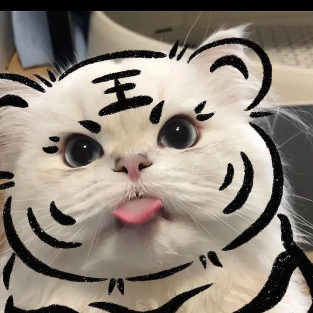 不吃香菜哦