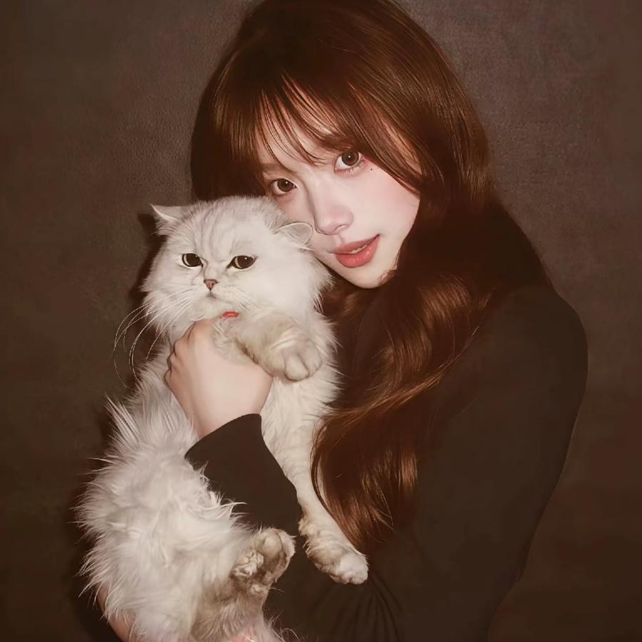 如果，『没有如果』