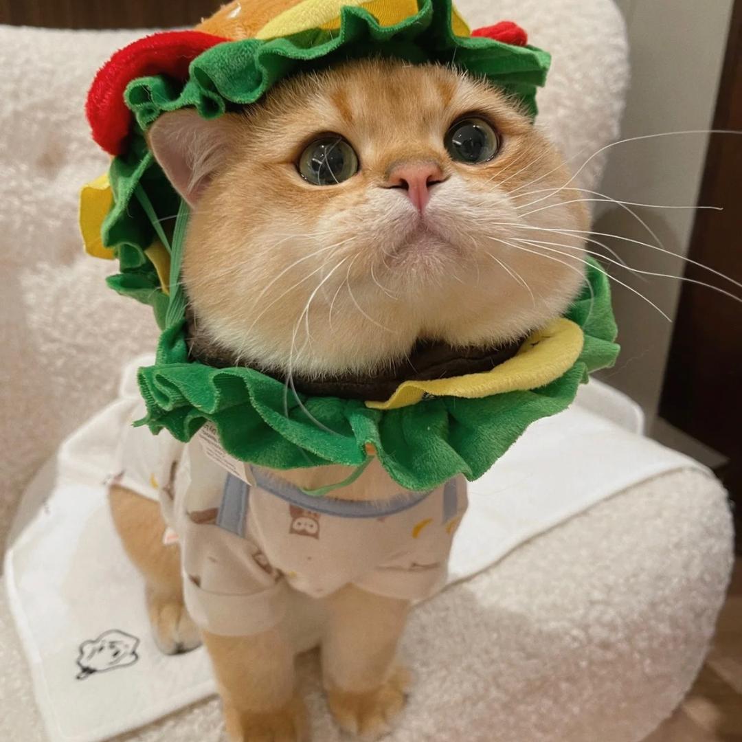 祛斑美肤