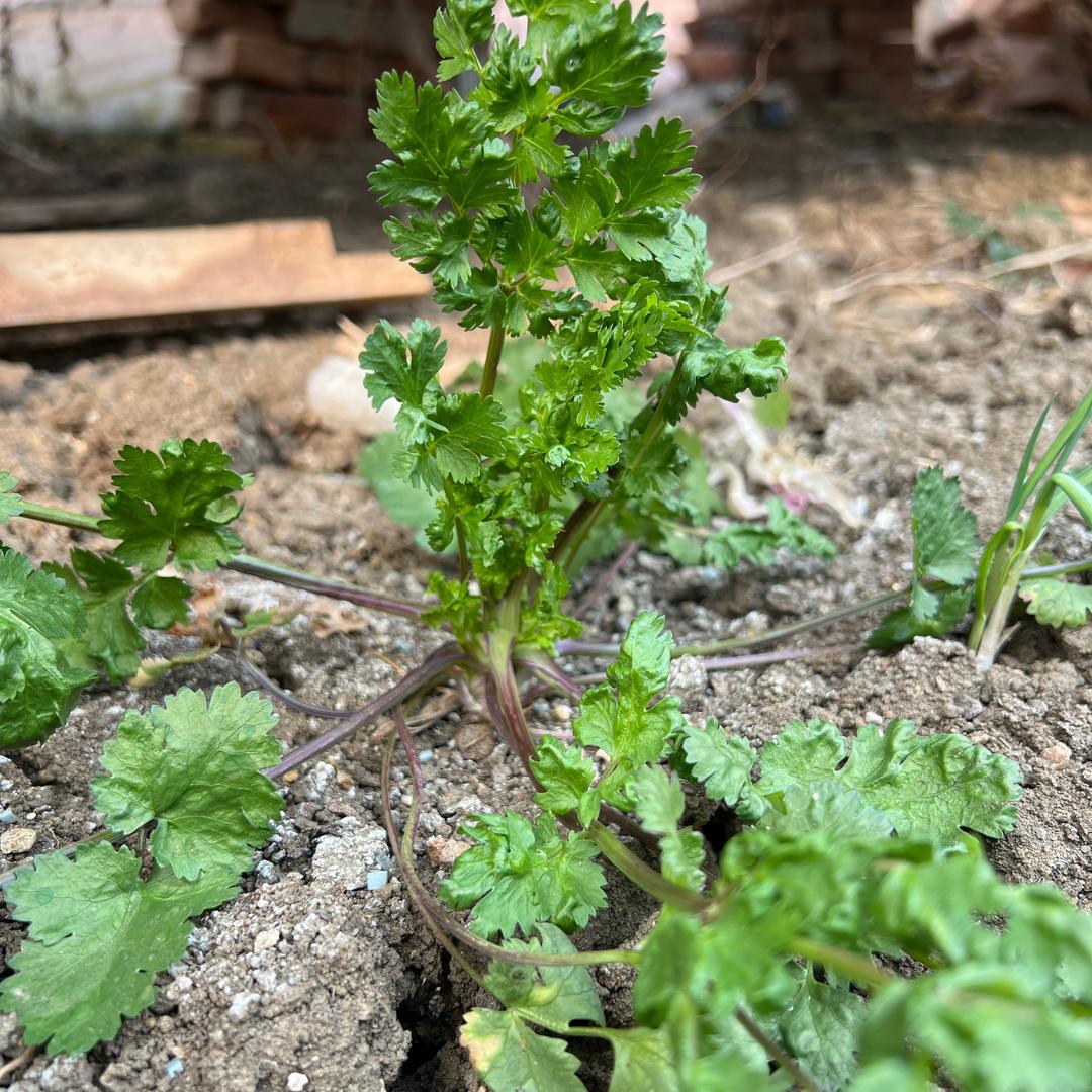 园艺精品生活店