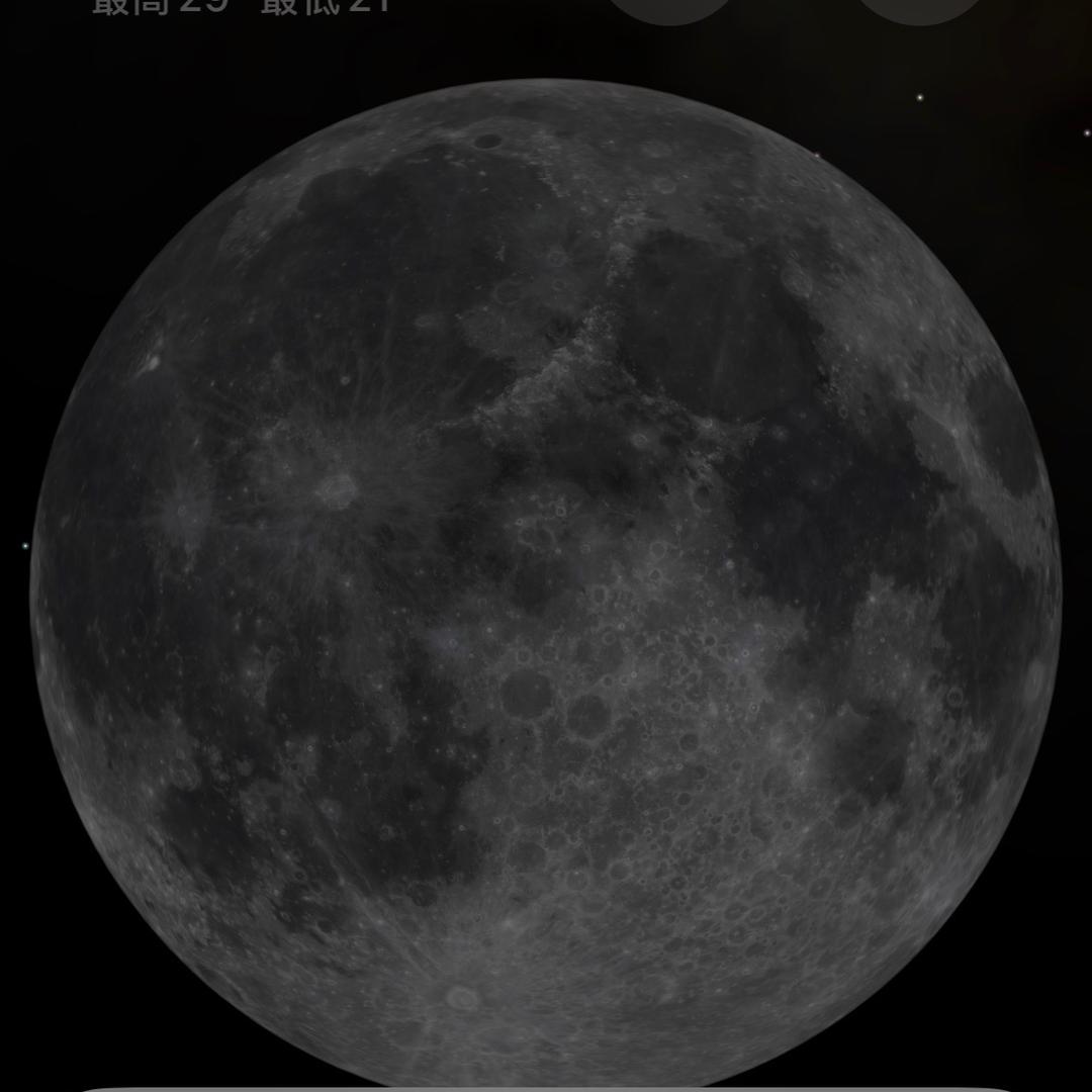 小猪｛三角洲行动｝