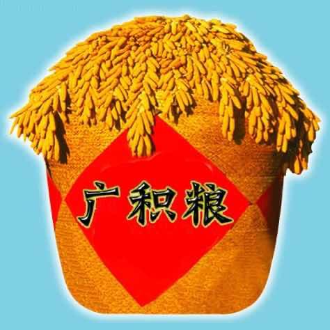 丰城市广积粮农资商行