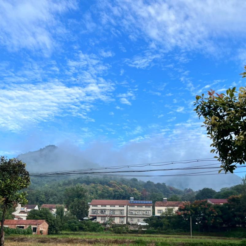 专注家庭教育育儿知识健康心理师