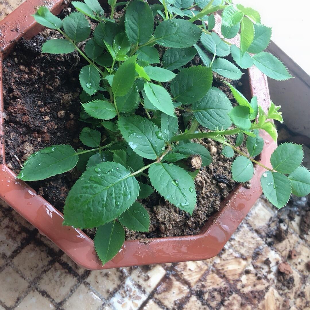 说破不@如看破$