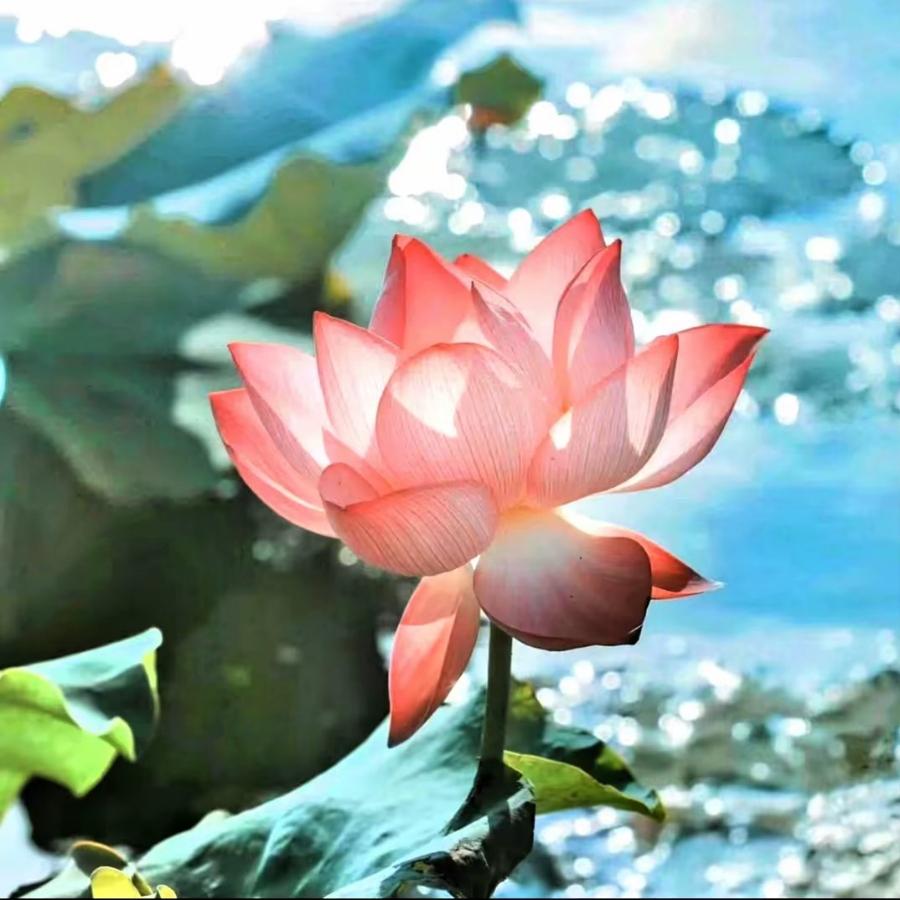 幸福美满的人生