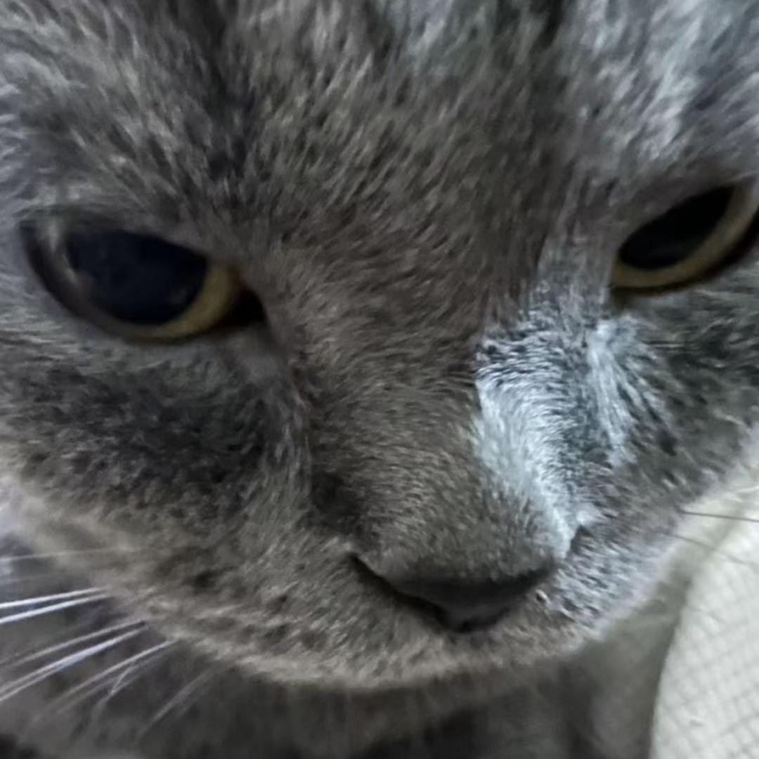 鱼里予