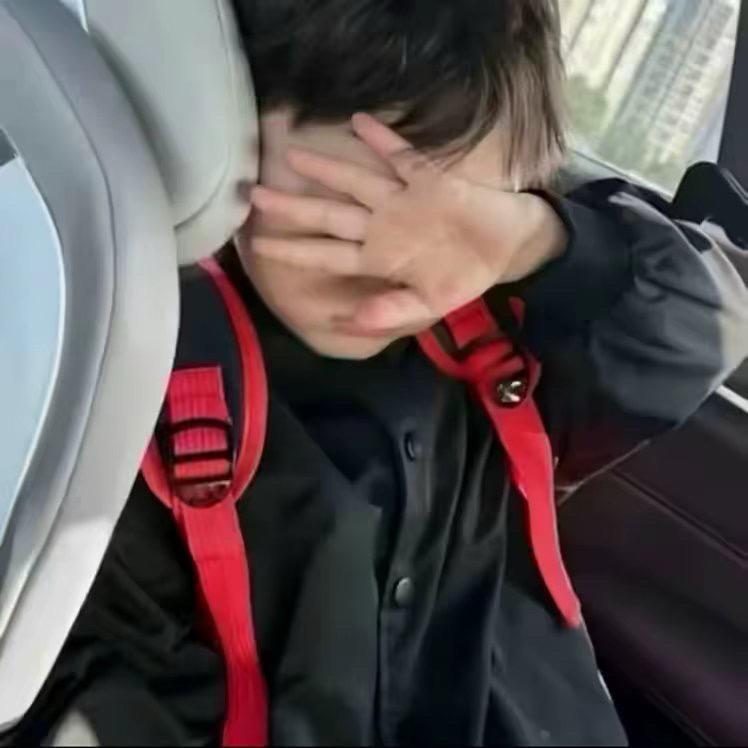 辛思念