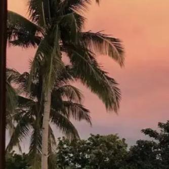 今天你开心了嘛🥳