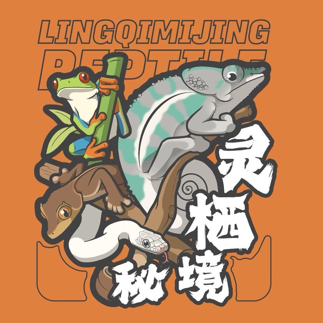 灵栖·秘境爬宠馆（老城根店）