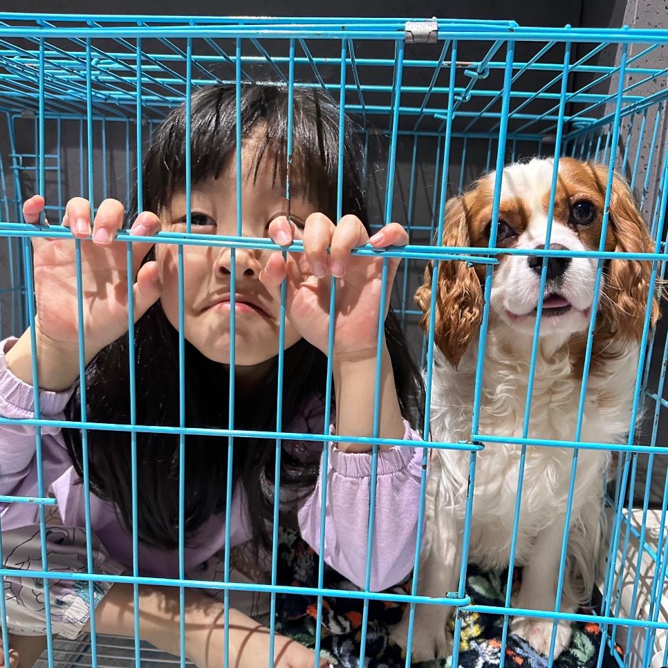 何子黑土