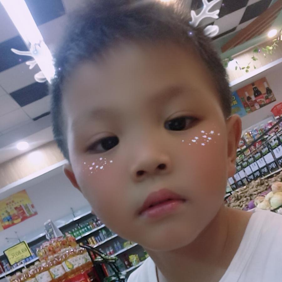 自由飞翔