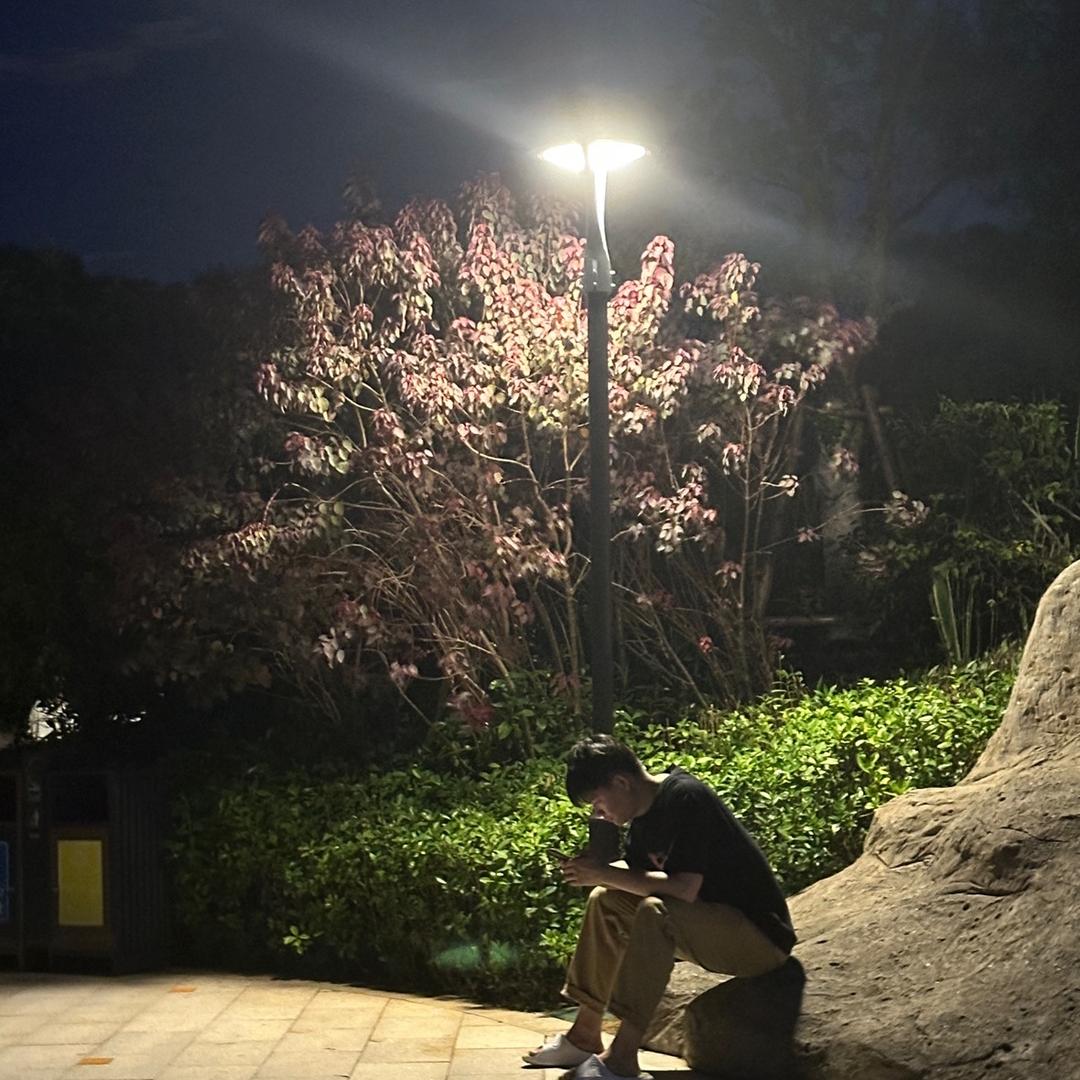 不愧是你