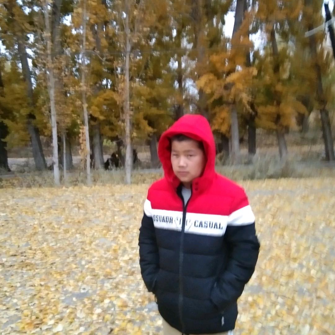 巩留王哥