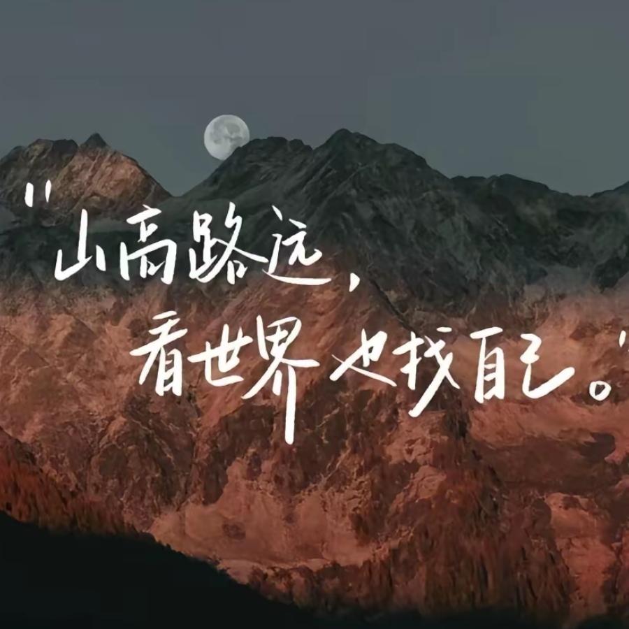 旋律流浪人