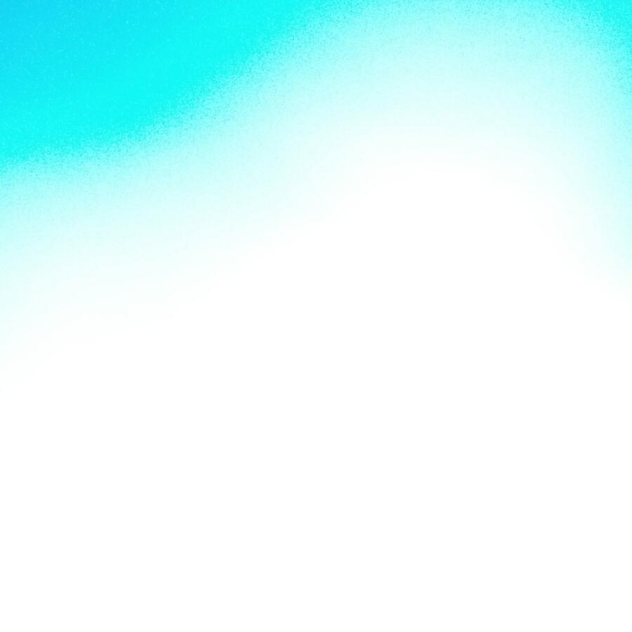 二月阳光