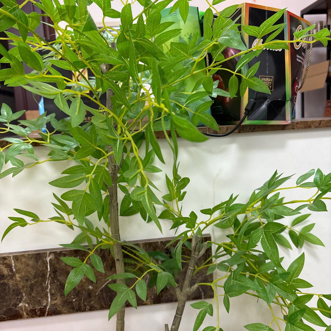 果果吃西瓜